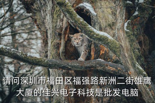 深圳市老鷹邦電子科技有限公司，深圳市雙鷹科技有限公司怎么樣