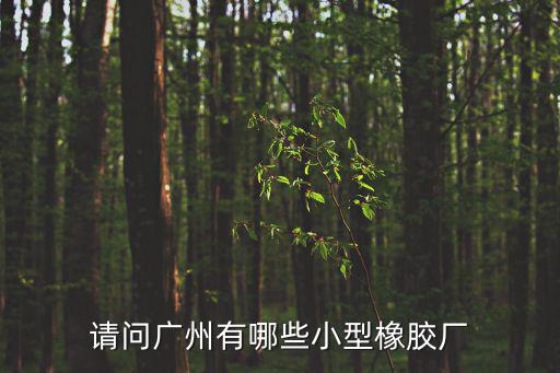 請問廣州有哪些小型橡膠廠