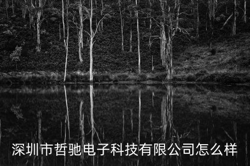 深圳市哲馳電子科技有限公司怎么樣