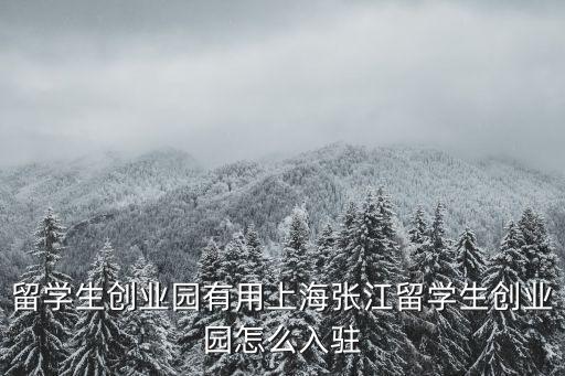 留學生創業園有用上海張江留學生創業園怎么入駐