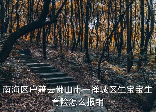 南海區(qū)戶籍去佛山市一禪城區(qū)生寶寶生育險怎么報銷