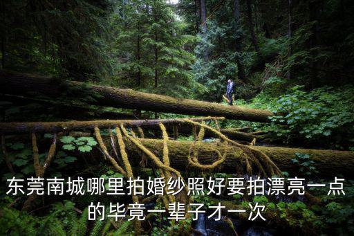 東莞南城哪里拍婚紗照好要拍漂亮一點(diǎn)的畢竟一輩子才一次