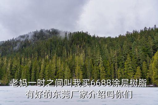 老媽一時(shí)之間叫我買6688涂層樹脂有好的東莞廠家介紹嗎你們
