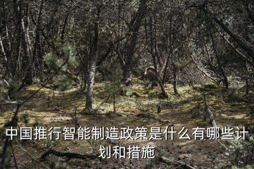 中國(guó)推行智能制造政策是什么有哪些計(jì)劃和措施