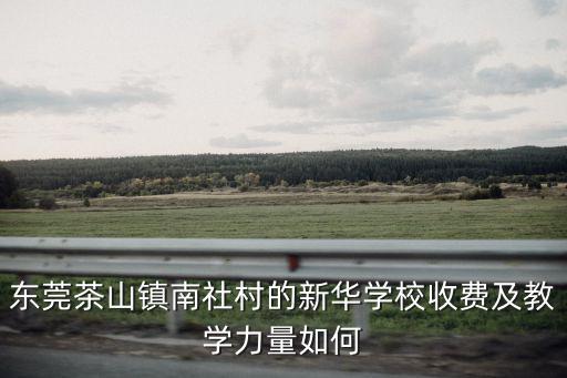 東莞茶山鎮南社村的新華學校收費及教學力量如何
