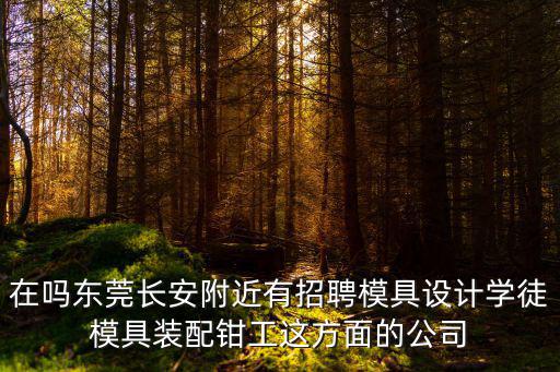 在嗎東莞長安附近有招聘模具設計學徒模具裝配鉗工這方面的公司