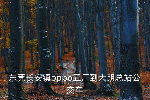 東莞長(zhǎng)安到大朗的汽車(chē)，從長(zhǎng)安北站到大朗汽車(chē)站怎么坐公交車(chē)最快需要多久