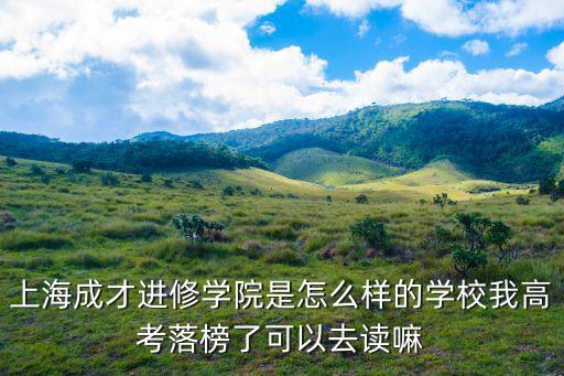 上海市成才學院是什么學校，上海成才學院是公辦嗎