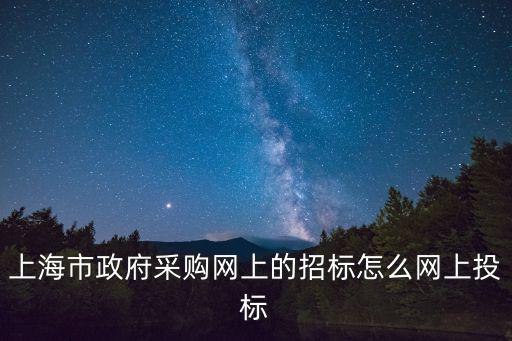 上海市政府采購(gòu)網(wǎng)上的招標(biāo)怎么網(wǎng)上投標(biāo)