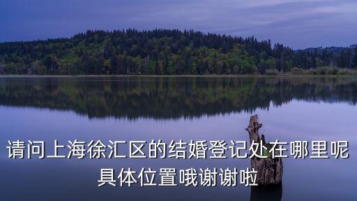 上海市徐匯區(qū)結(jié)婚登記處，請(qǐng)問上海徐匯區(qū)的結(jié)婚登記處在哪里呢具體位置哦謝謝啦