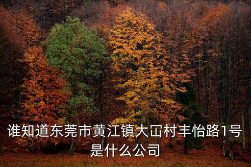 誰知道東莞市黃江鎮(zhèn)大冚村豐怡路1號是什么公司