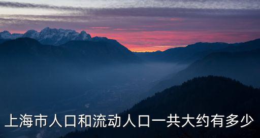 上海市人口和流動人口一共大約有多少