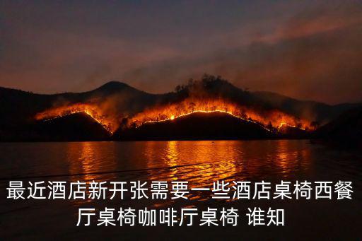 最近酒店新開張需要一些酒店桌椅西餐廳桌椅咖啡廳桌椅 誰(shuí)知