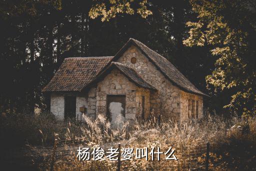 楊俊老婆叫什么
