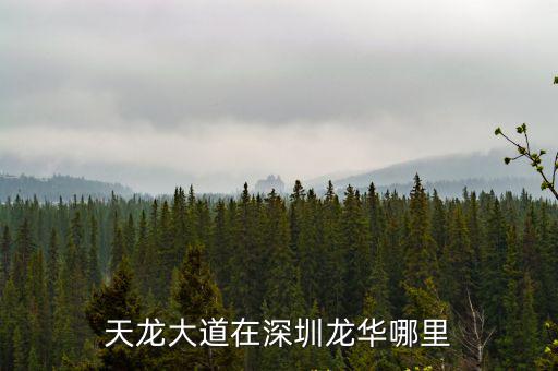 天龍大道在深圳龍華哪里