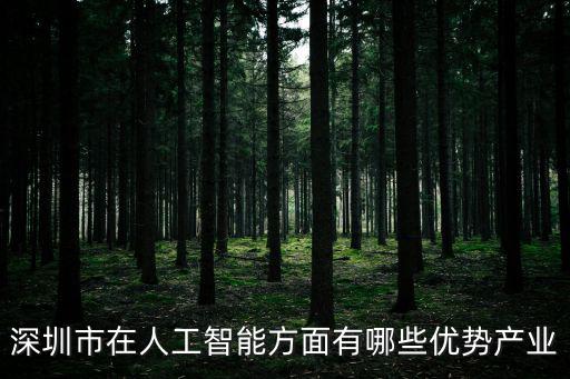 深圳市在人工智能方面有哪些優勢產業