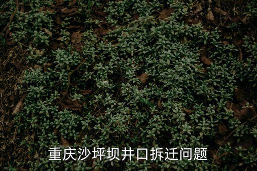 重慶沙坪壩井口拆遷問題