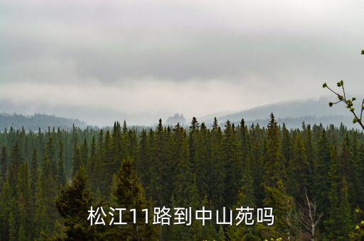 松江11路到中山苑嗎