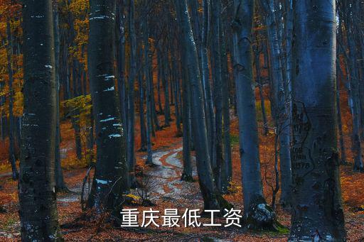 2018重慶市的最低工資額，重慶最低工資