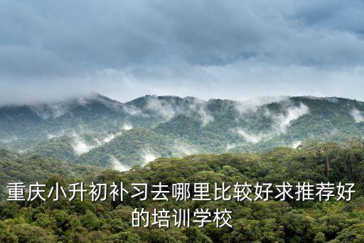 重慶小升初補(bǔ)習(xí)去哪里比較好求推薦好的培訓(xùn)學(xué)校