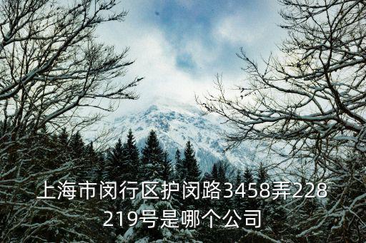 上海市閔行區(qū)澳翔鞋業(yè)，上海市閔行區(qū)護(hù)閔路3458弄228219號(hào)是哪個(gè)公司