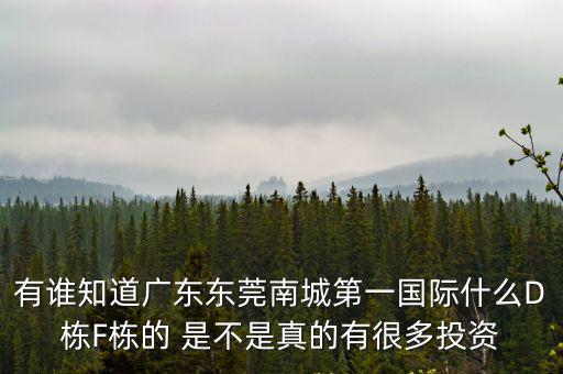 有誰知道廣東東莞南城第一國際什么D棟F棟的 是不是真的有很多投資