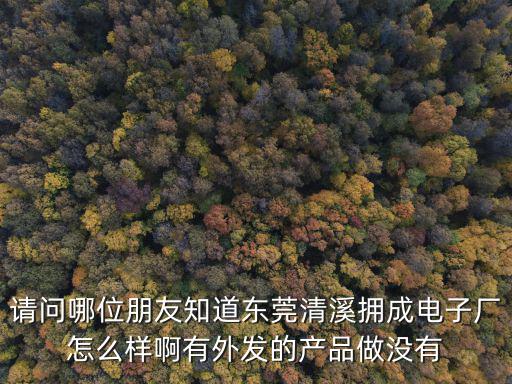 請問哪位朋友知道東莞清溪擁成電子廠怎么樣啊有外發的產品做沒有
