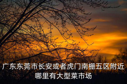 廣東東莞市長安或者虎門南柵五區附近哪里有大型菜市場
