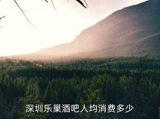 深圳樂巢酒吧人均消費(fèi)多少