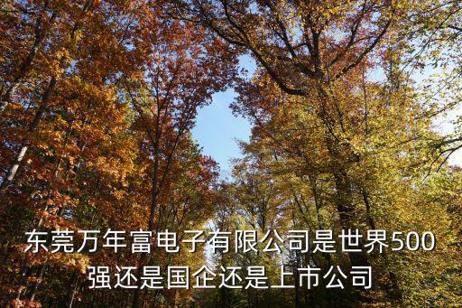 東莞萬年富電子有限公司是世界500強還是國企還是上市公司