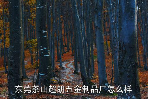 東莞茶山超朗五金制品廠怎么樣