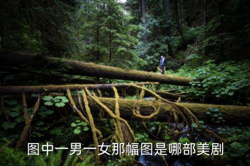 圖中一男一女那幅圖是哪部美劇