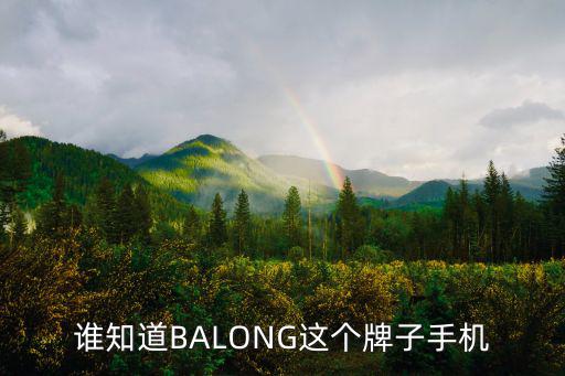 誰知道BALONG這個牌子手機