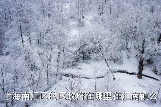 上海南匯區(qū)的區(qū)政府在哪里在匯南鎮(zhèn)么