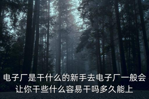 電子廠是干什么的新手去電子廠一般會讓你干些什么容易干嗎多久能上