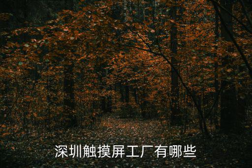 深圳觸摸屏工廠有哪些