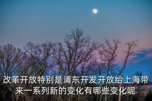 改革開放特別是浦東開發(fā)開放給上海帶來一系列新的變化有哪些變化呢