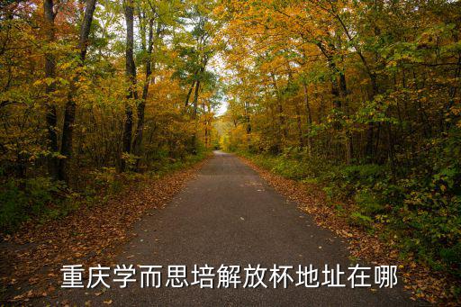 重慶學而思培解放杯地址在哪