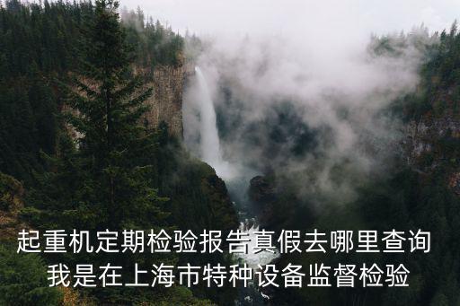 起重機定期檢驗報告真假去哪里查詢 我是在上海市特種設備監督檢驗