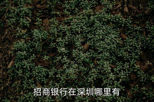 招商銀行在深圳哪里有