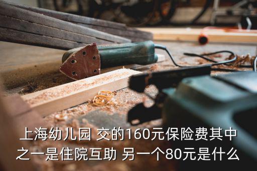 上海幼兒園 交的160元保險費其中之一是住院互助 另一個80元是什么