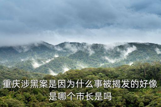 重慶市委書記革職真相，王洪舉為什么辭去市長
