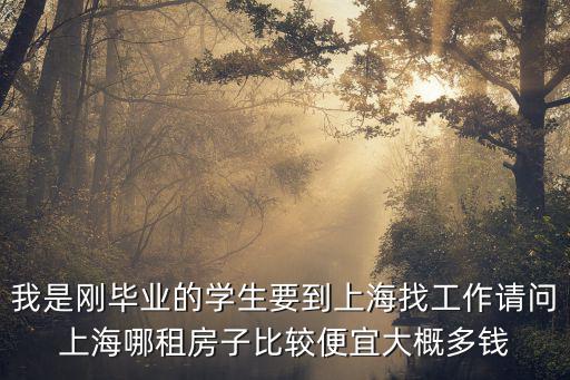 我是剛畢業的學生要到上海找工作請問上海哪租房子比較便宜大概多錢