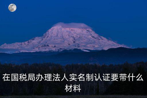 在國稅局辦理法人實名制認證要帶什么材料