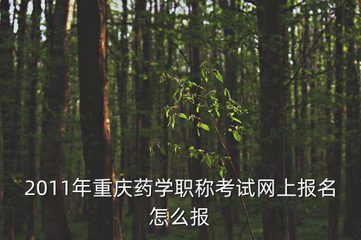 2011年重慶藥學(xué)職稱考試網(wǎng)上報(bào)名怎么報(bào)