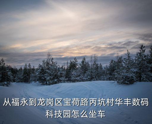 從福永到龍崗區寶荷路丙坑村華豐數碼科技園怎么坐車