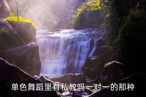 廣州單色舞蹈總部在哪，單色舞蹈里有私教嗎一對一的那種