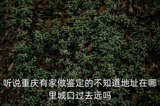 聽說重慶有家做鑒定的不知道地址在哪里城口過去遠嗎