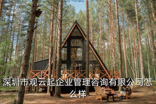 深圳市觀云起企業(yè)管理咨詢有限公司怎么樣