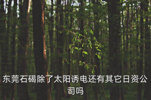 東莞石碣除了太陽誘電還有其它日資公司嗎